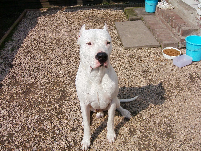 Urko Los guardianes de la hacienda