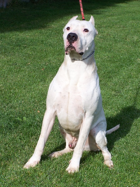 Urko Los guardianes de la hacienda