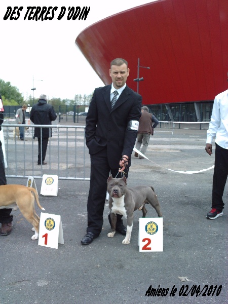 Diamante-en-bruto De golden mask - 2 eme exellent