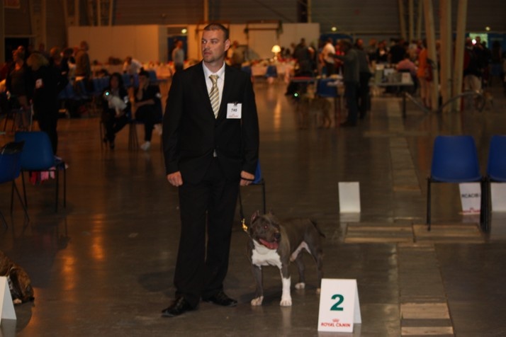 Diamante-en-bruto De golden mask - 2 eme exellent