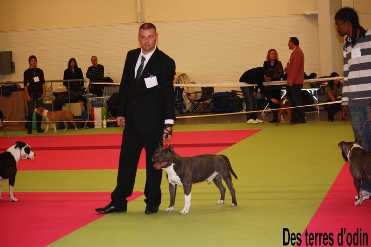 Diamante-en-bruto De golden mask - exellent non classé