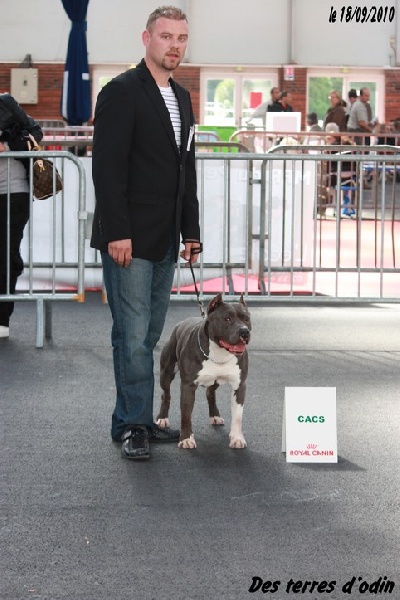 Diamante-en-bruto De golden mask - 1er excellent cacs et rcacib