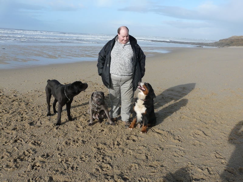 Publication : Faerwin's Tale Auteur : judichaël dufour