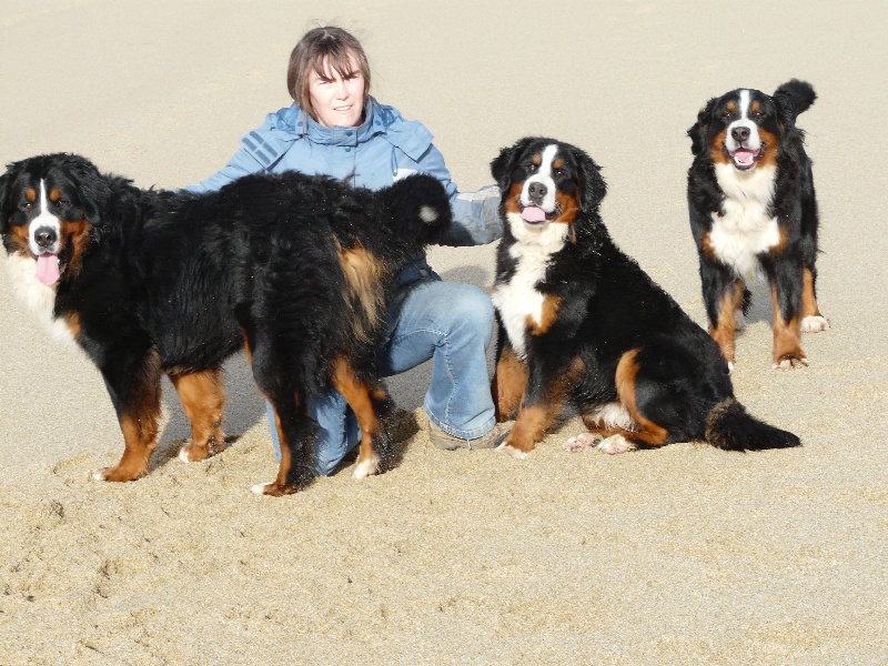 Publication : Faerwin's Tale Auteur : judichaël dufour