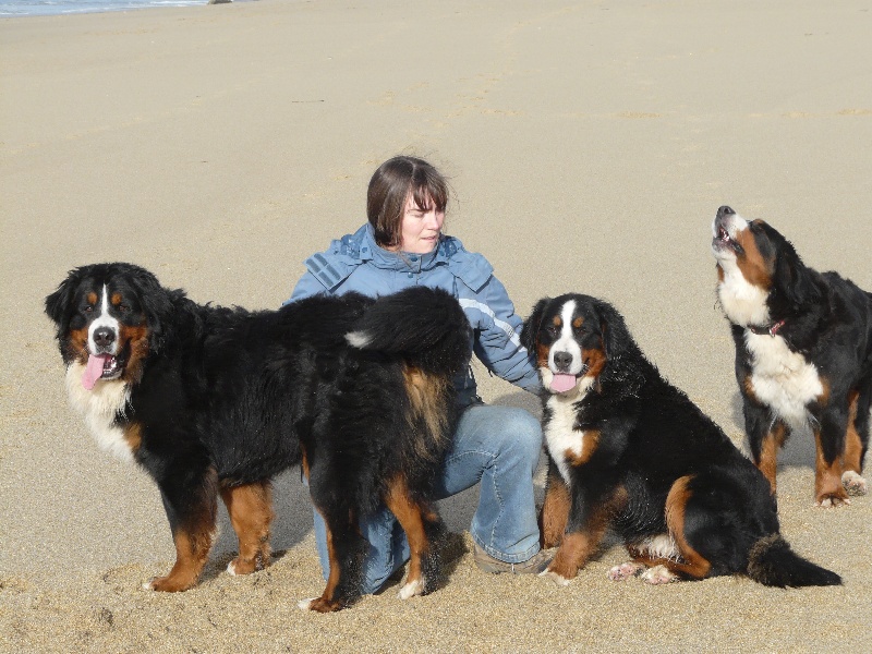 Publication : Faerwin's Tale Auteur : judichaël dufour