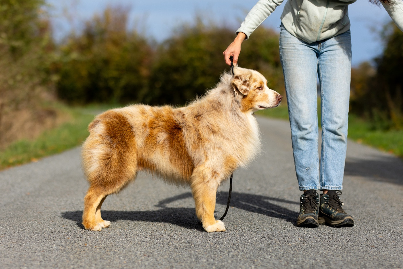 western command Yasenevy les dit snow