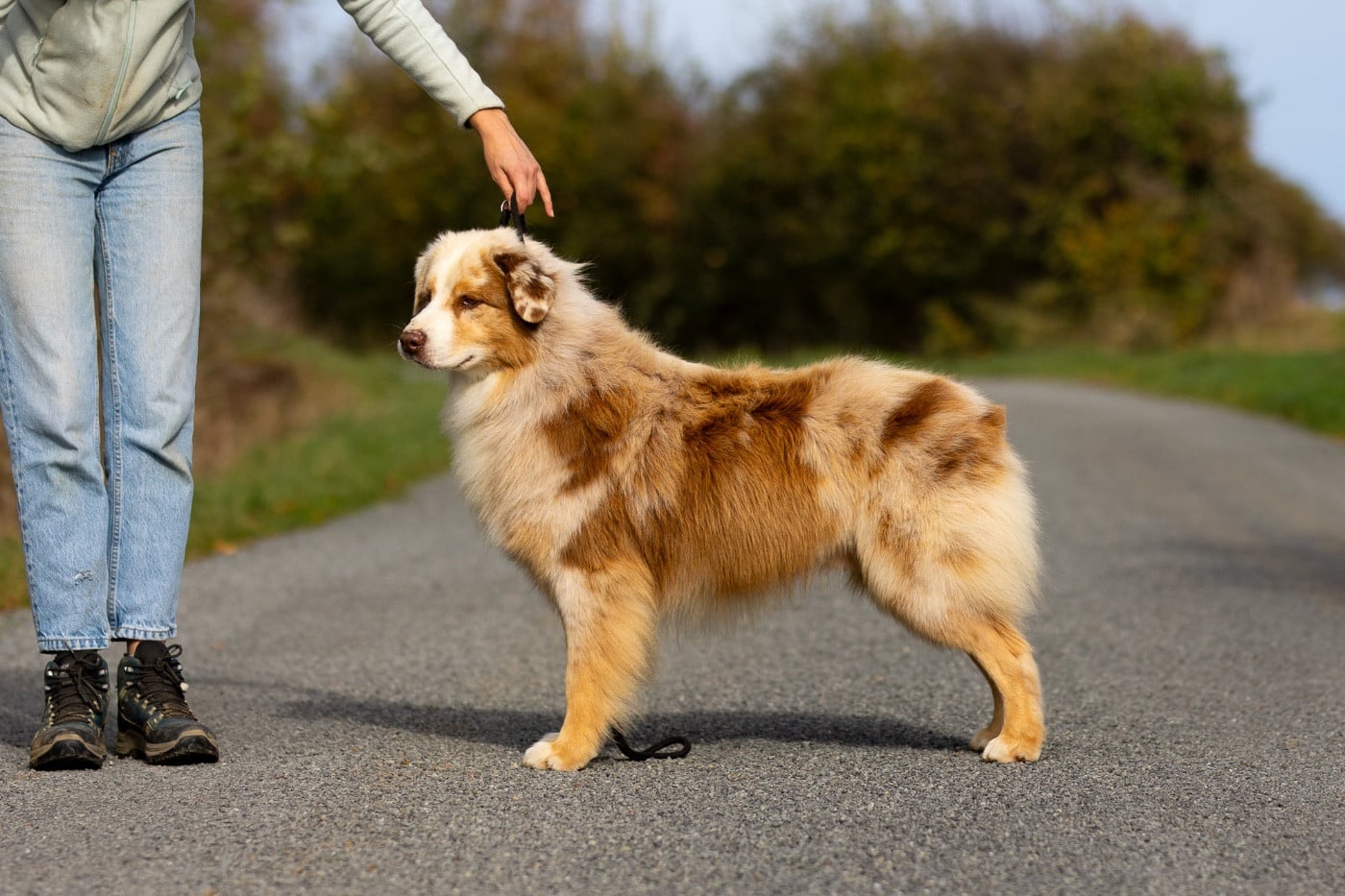 western command Yasenevy les dit snow