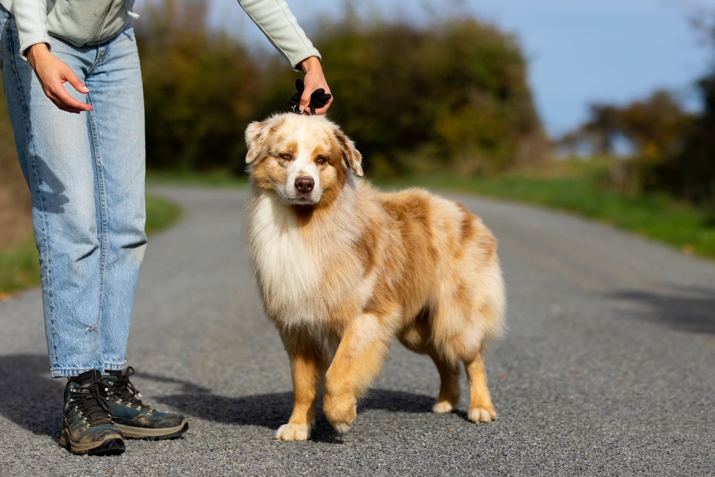 western command Yasenevy les dit snow