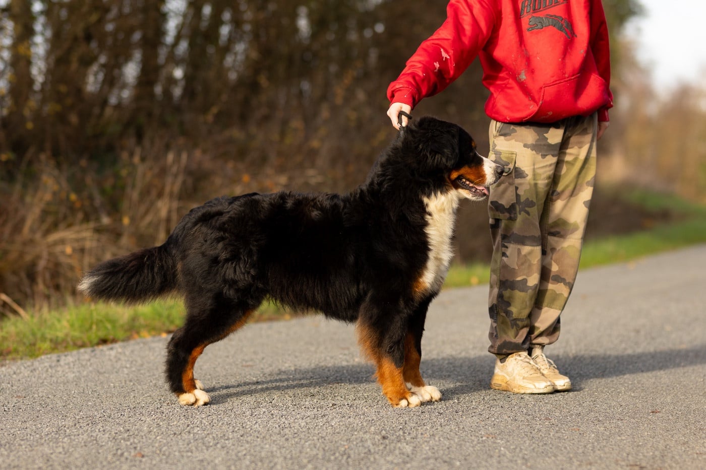 Ty boo de la Vallée de l'Hyrome
