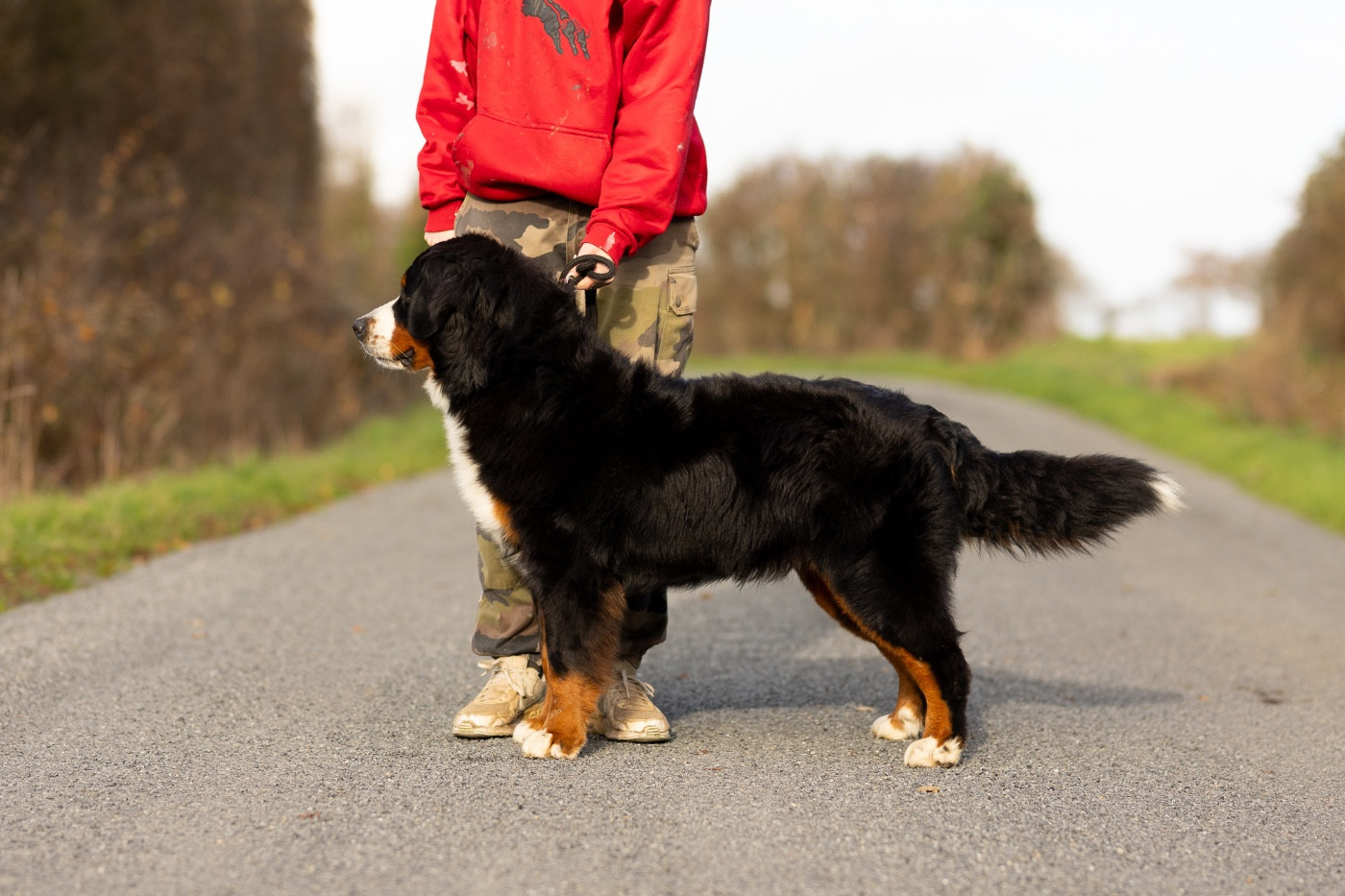 Viens je t'emmène dite Chance de la Vallée de l'Hyrome