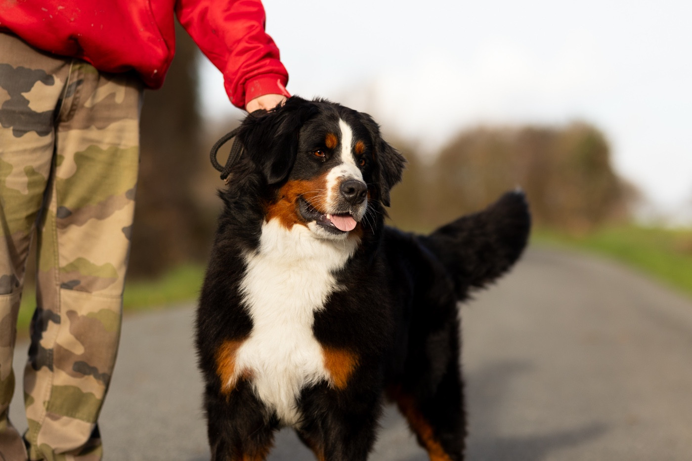 Viens je t'emmène dite Chance de la Vallée de l'Hyrome