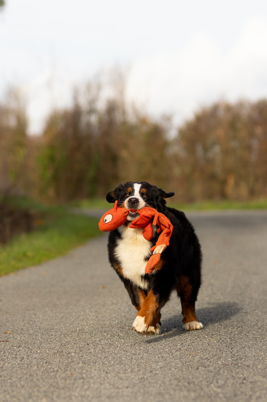 Viens je t'emmène dite Chance de la Vallée de l'Hyrome