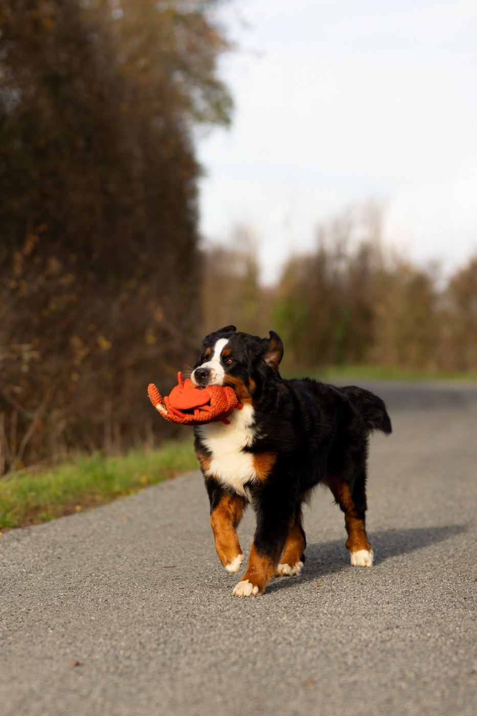 Viens je t'emmène dite Chance de la Vallée de l'Hyrome