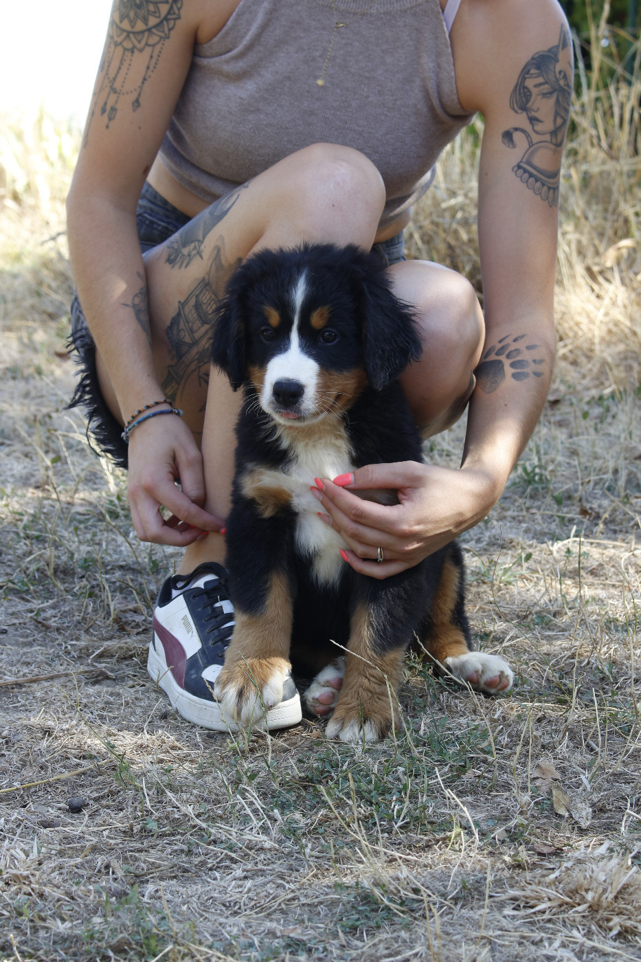 CHIOT 1