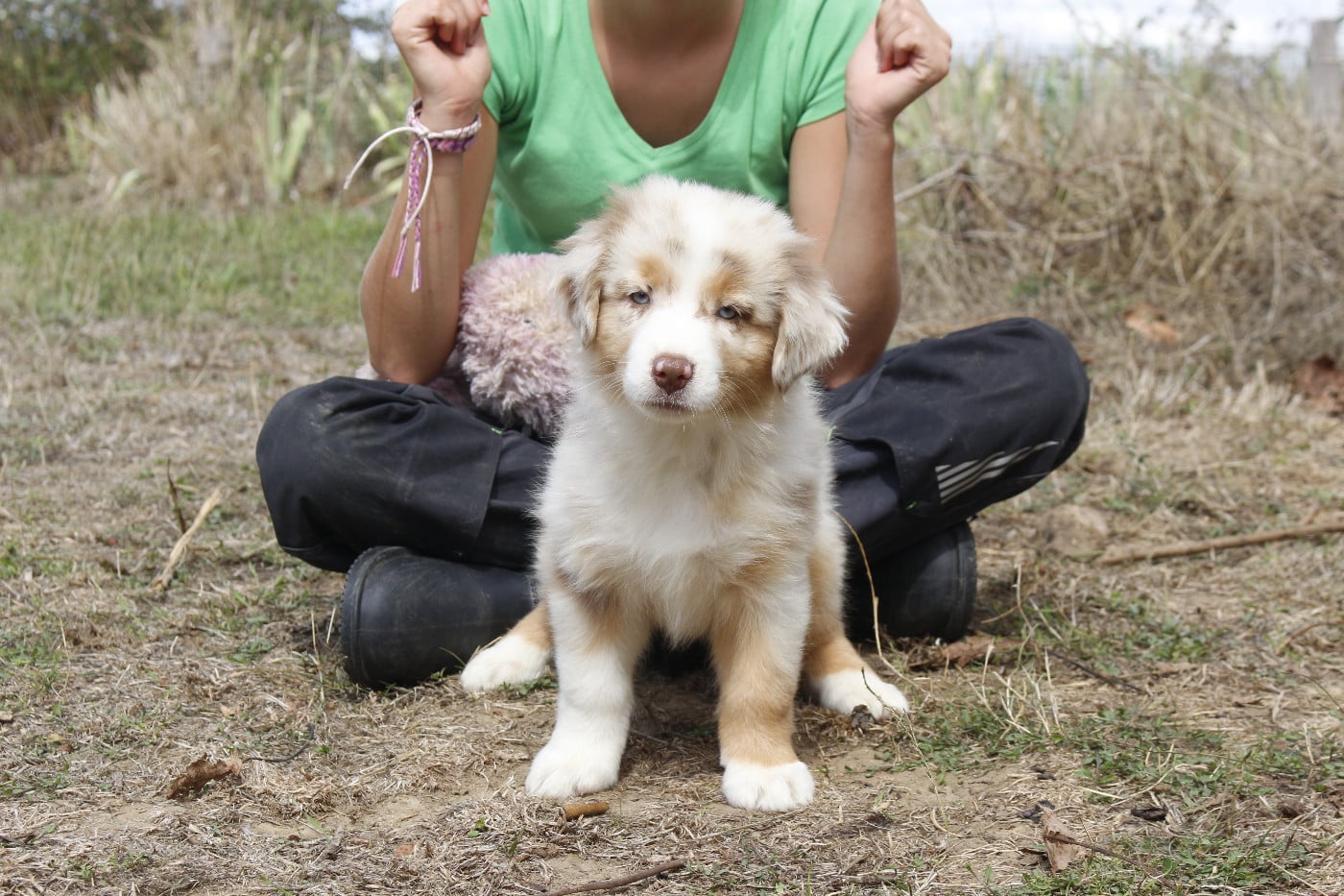 CHIOT 2
