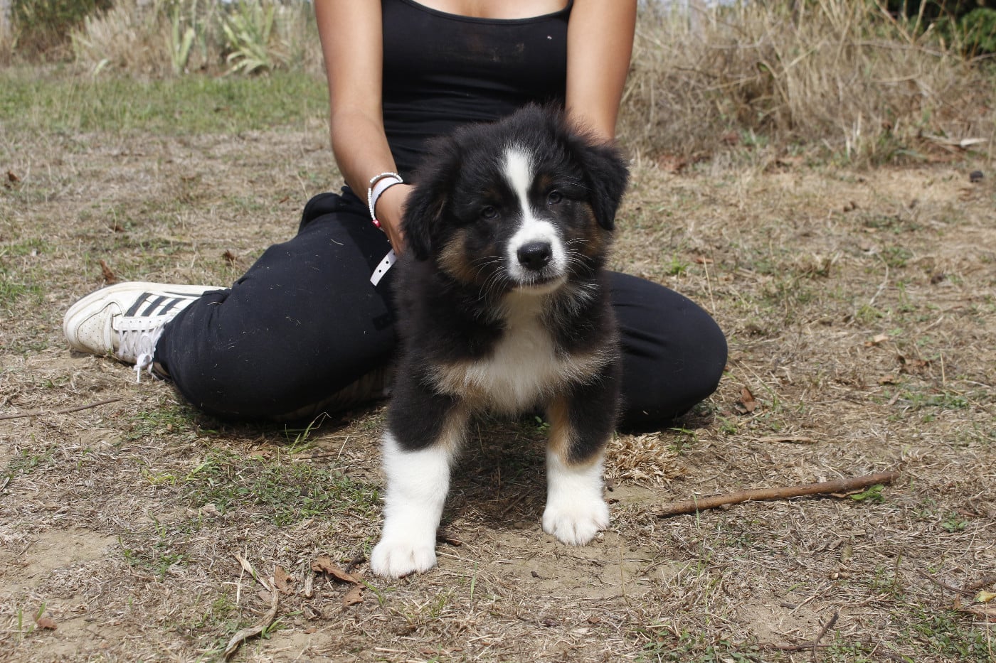 CHIOT 3