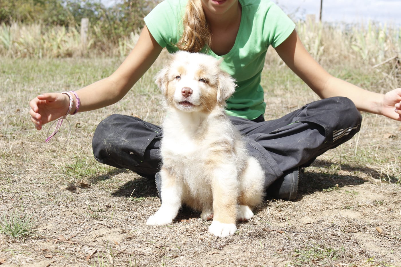 CHIOT 4
