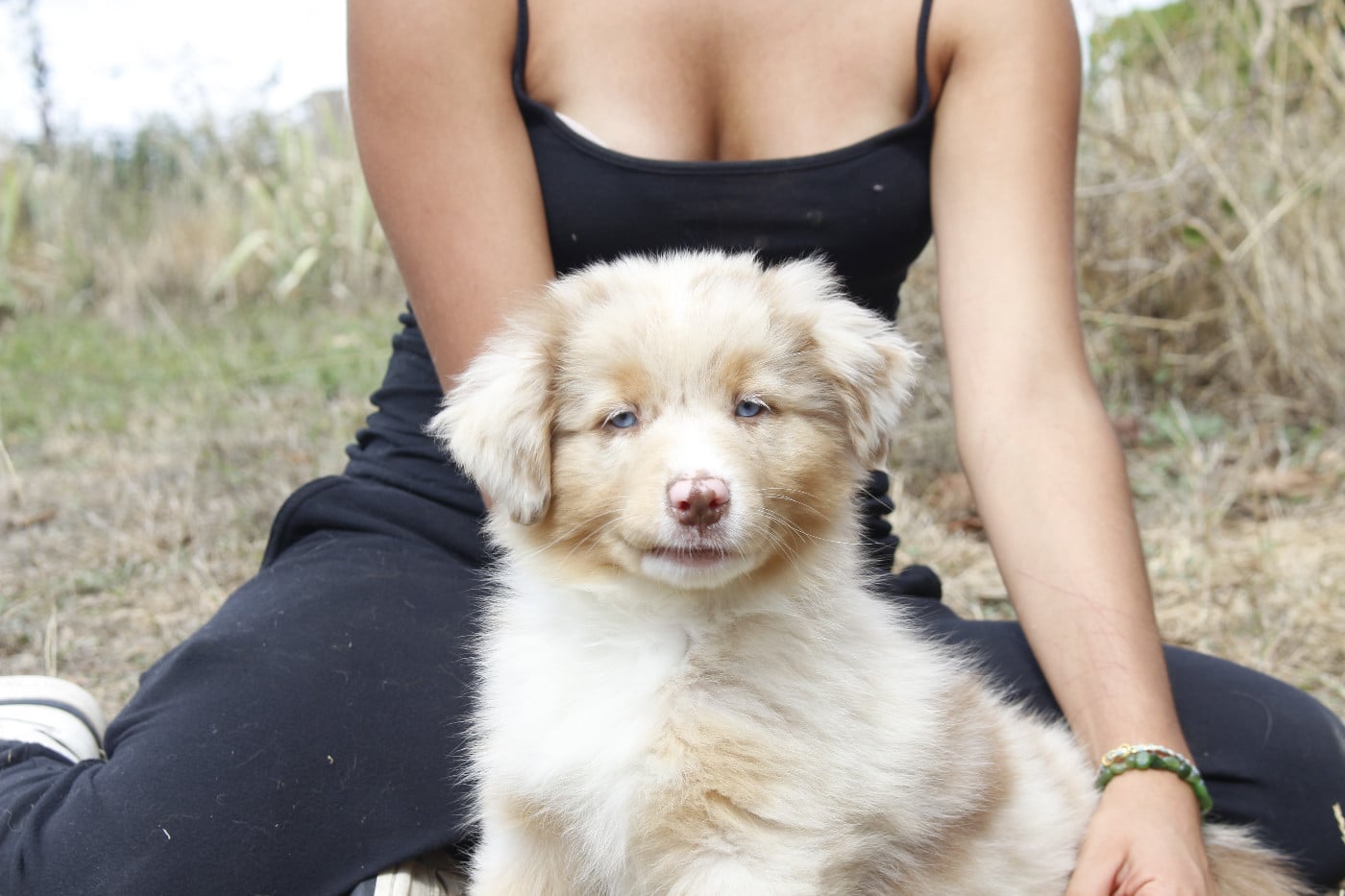 CHIOT 6