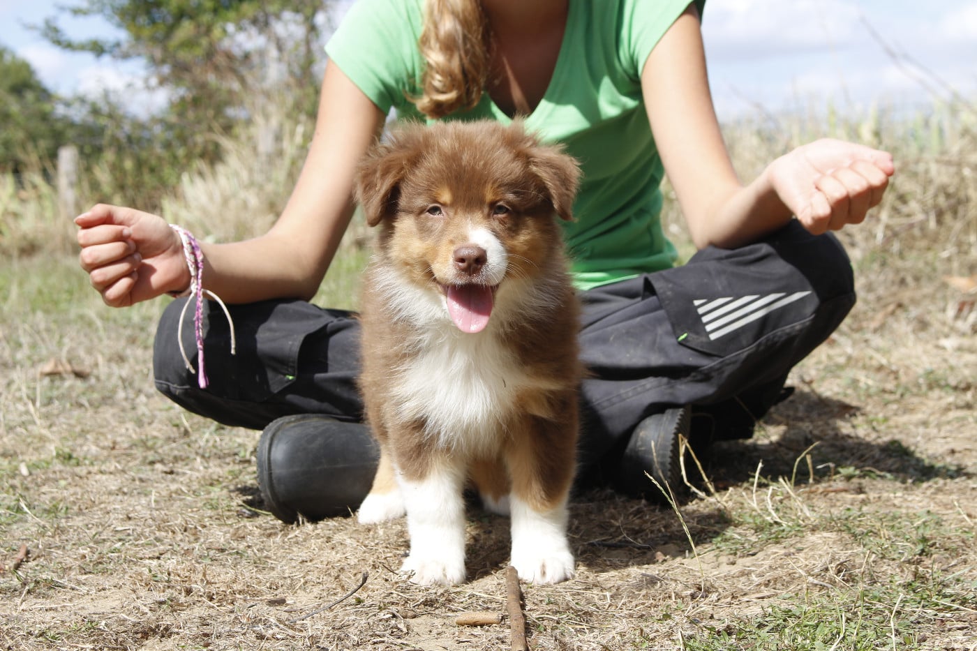 CHIOT 7