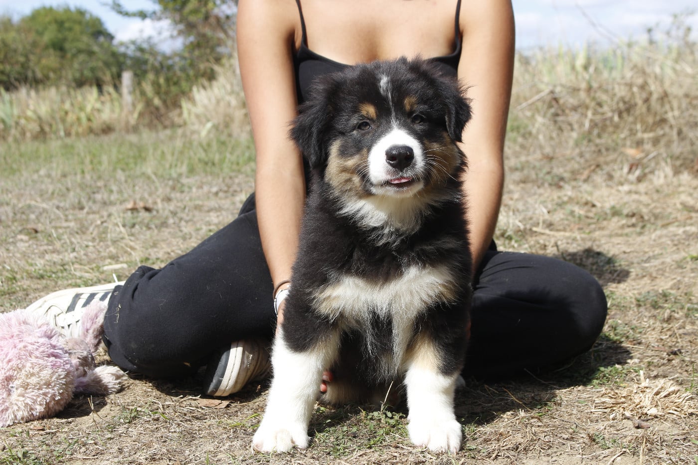 CHIOT 8