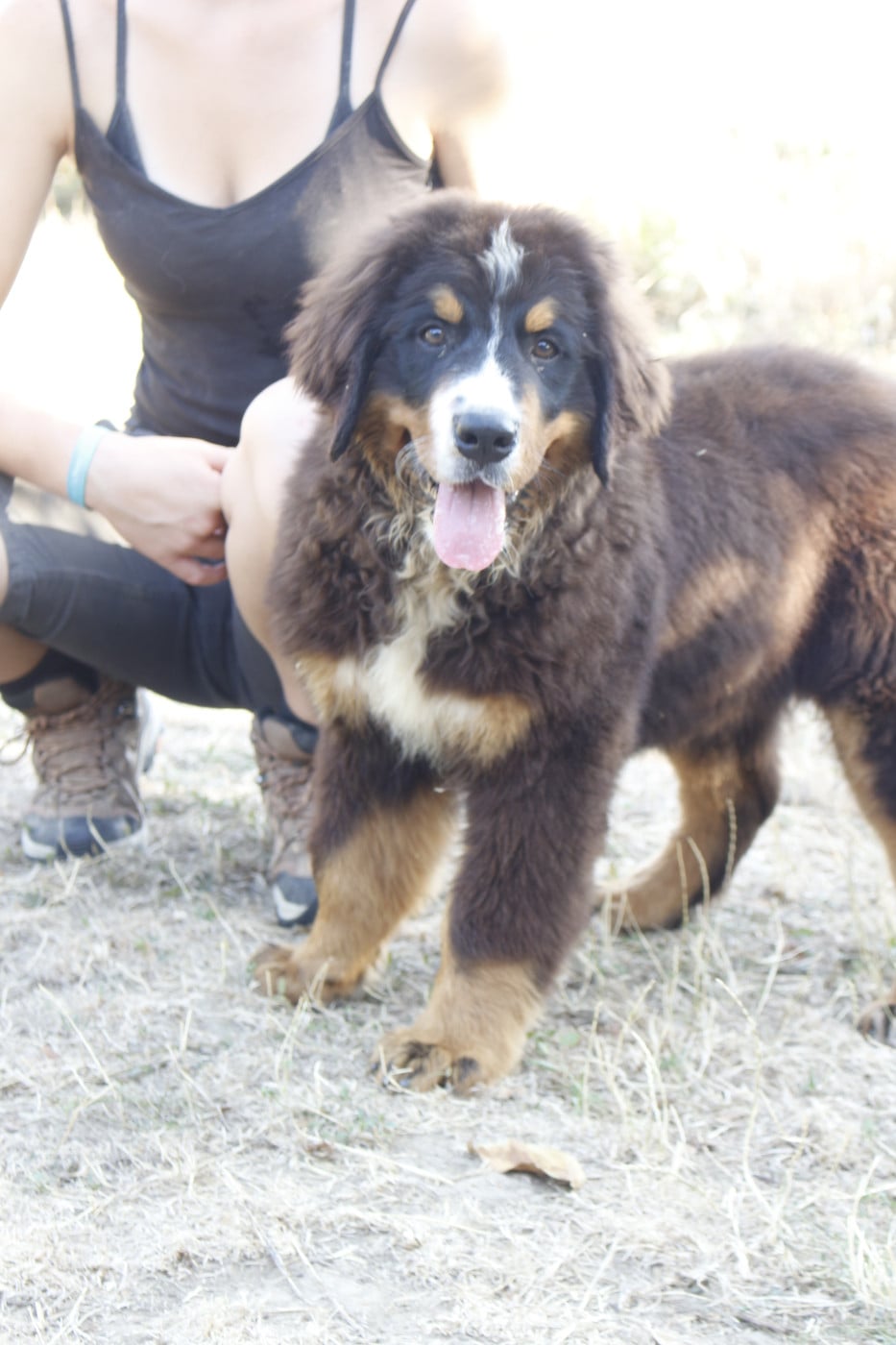Bandit -2