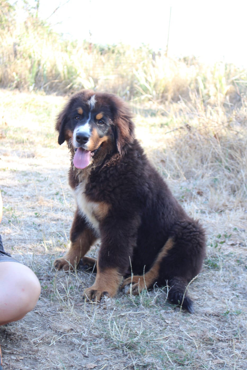 Bandit -2