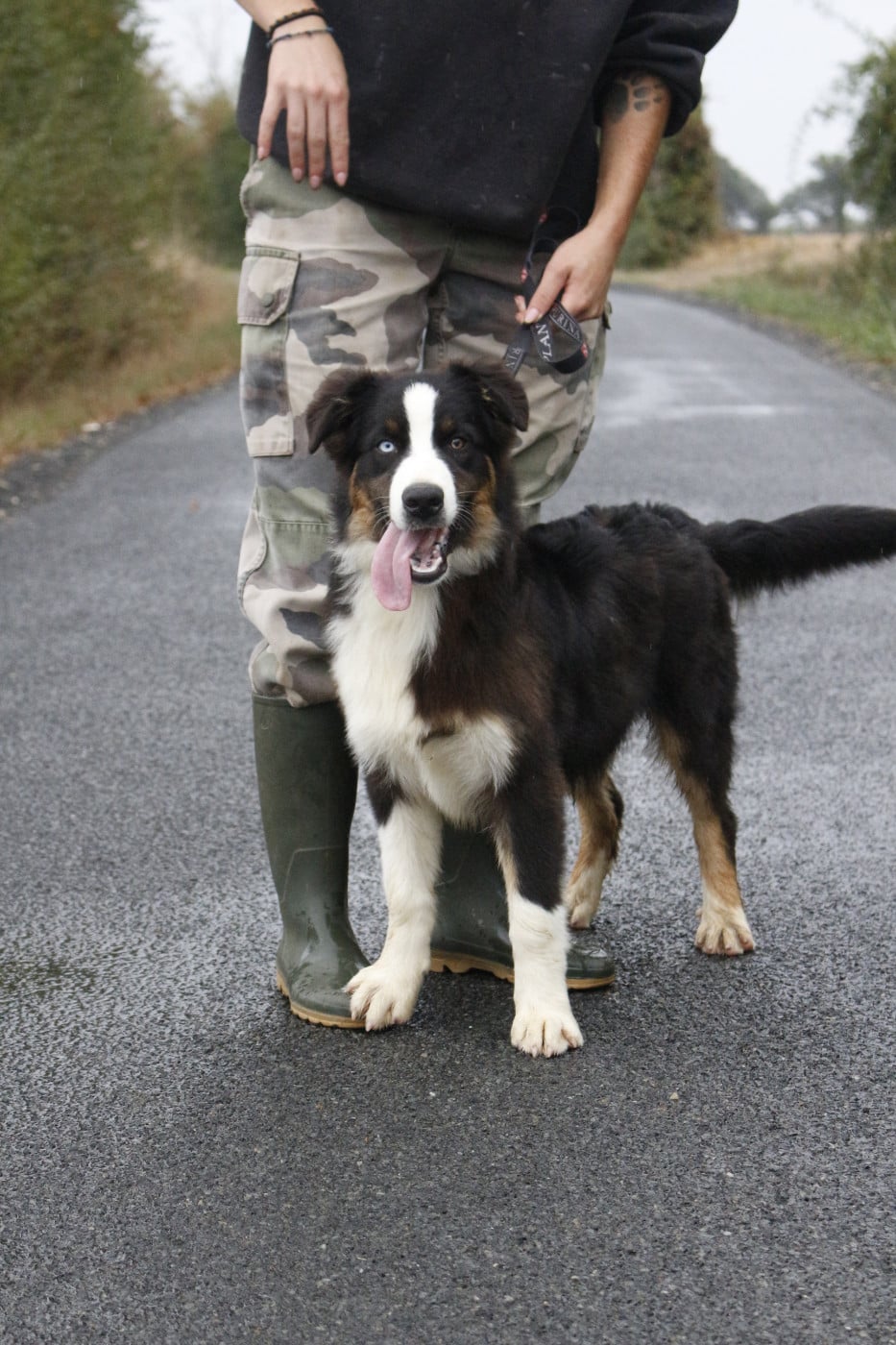 Benjy - 1