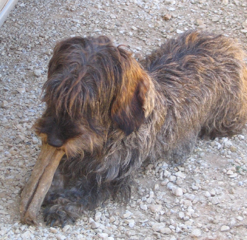 Publication : du Domaine de la Veyssière