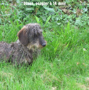 Publication : du Domaine de la Veyssière