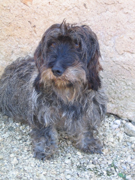 Publication : du Domaine de la Veyssière