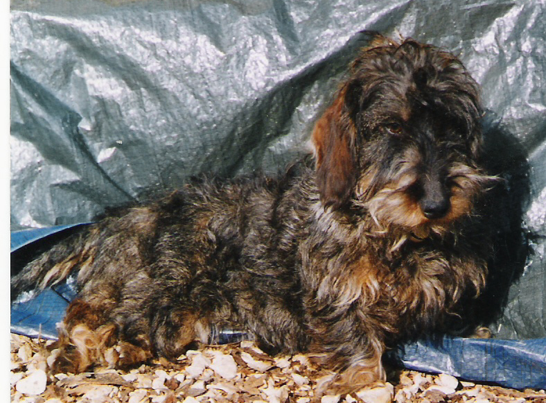 Publication : du Domaine de la Veyssière