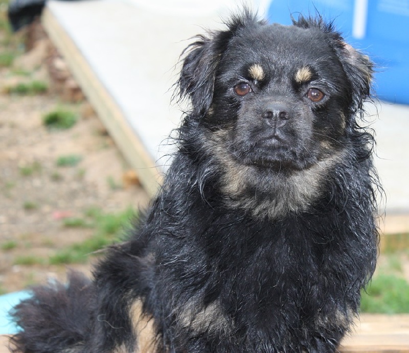 Ek-ram du Grand Cougnot