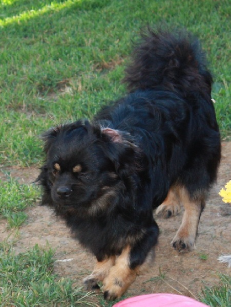 Ek-ram du Grand Cougnot