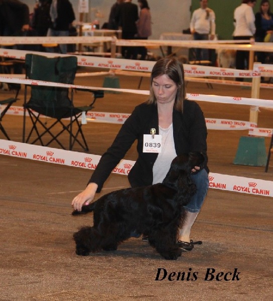 Love story modus vivendi - 1er TP en classe Puppy Best Puppy