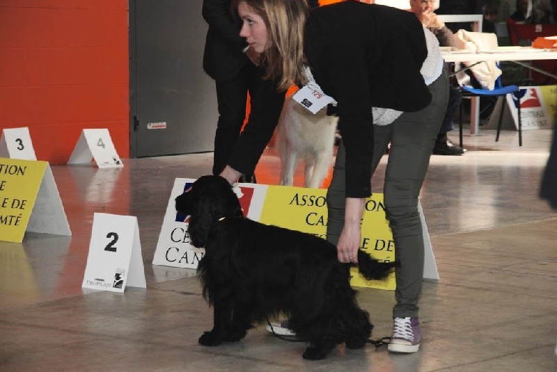 Love story modus vivendi - 1ere exc CACS en classe ouverte