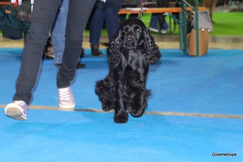 Love story modus vivendi - Très bon 1 en classe ouverte