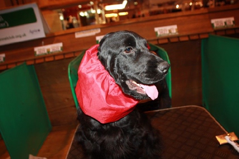 Love story modus vivendi - RAS