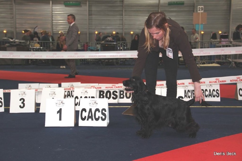 Love story modus vivendi - 1er excellent CACS en classe ouverte