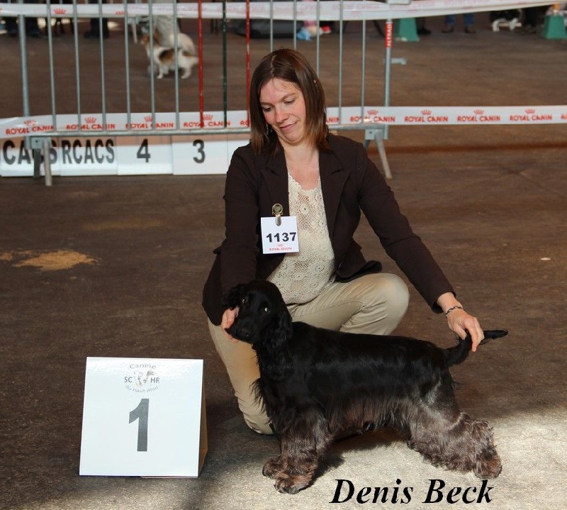 Love story modus vivendi - 1er TP en classe Puppy