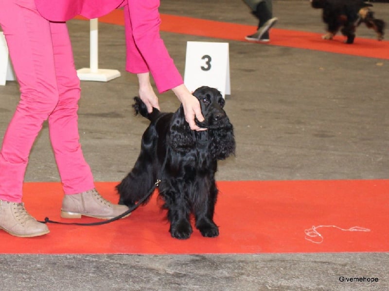 Love story modus vivendi - 1exc CACS