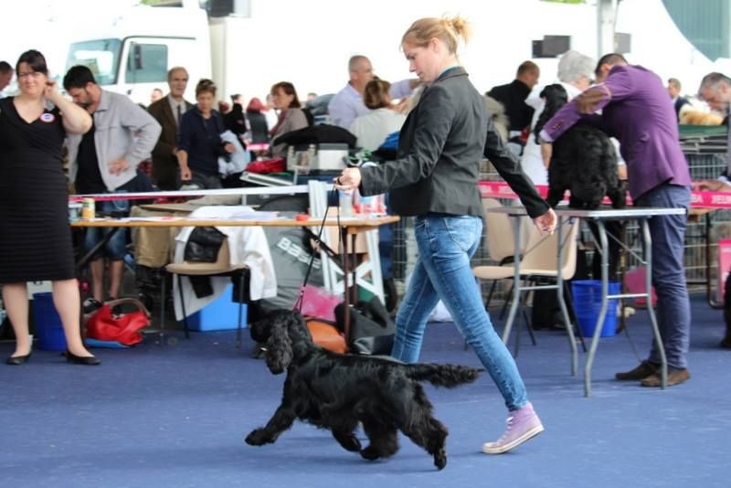 Love story modus vivendi - 4eme TB en classe ouverte