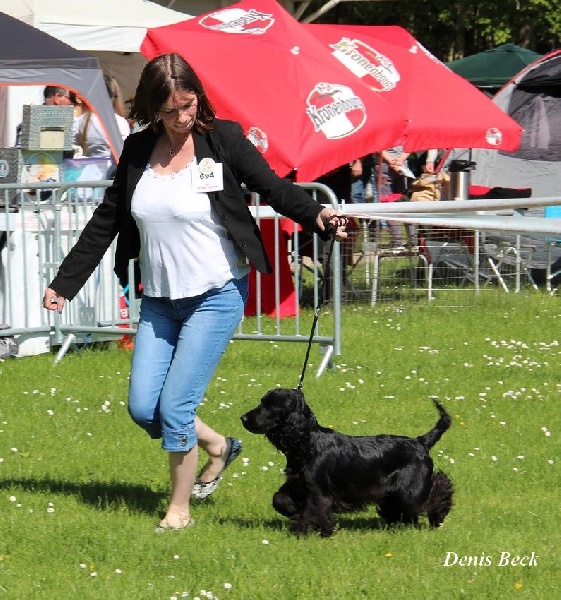 Love story modus vivendi - classe jeune 1er exc