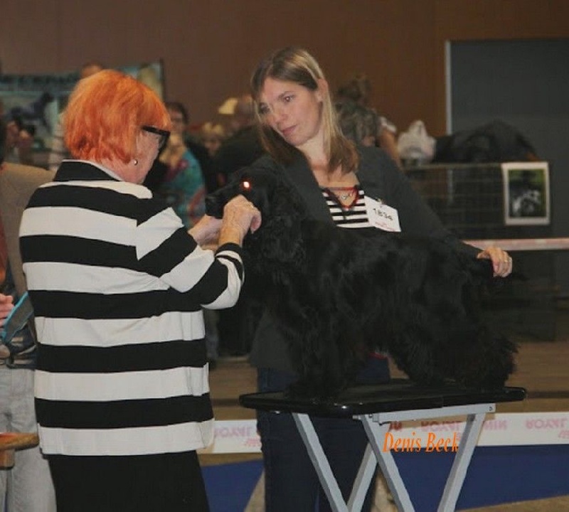 Love story modus vivendi - 1er exc en classe jeune