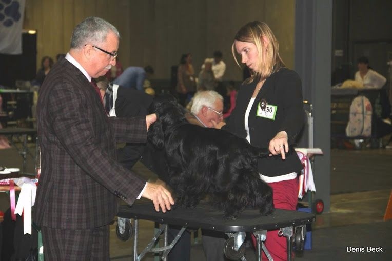 Love story modus vivendi - CACL Classe inter