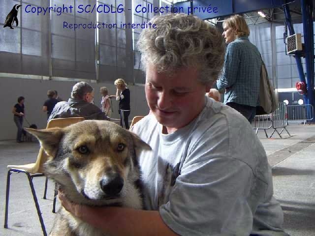 CH. Arkhangelsk-armor d'Emozioni Breizh - 1er Excellent - CACS - CACIB - Meilleur de Race en classe Intermédiaire