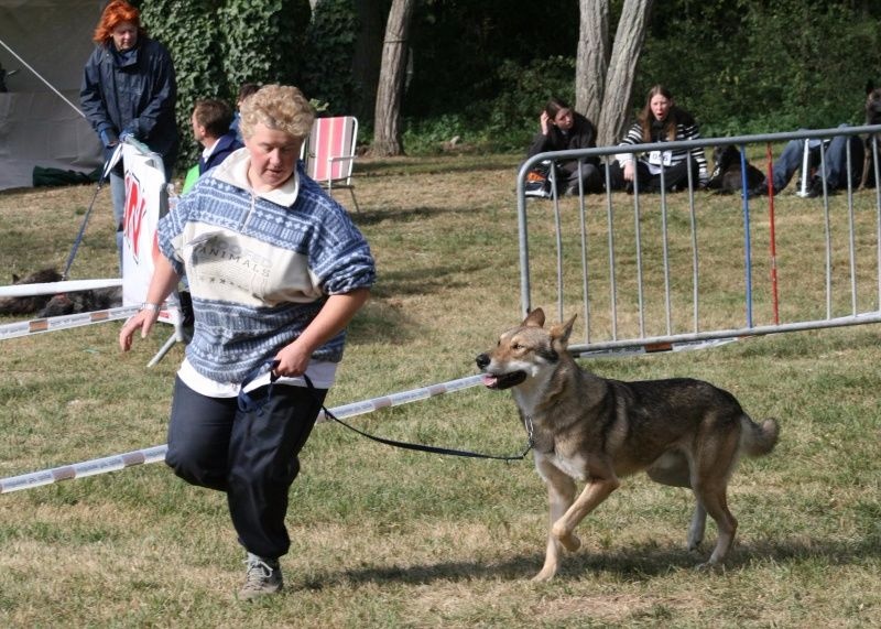 CH. Arkhangelsk-armor d'Emozioni Breizh - 3ème Excellent en classe Ouverte