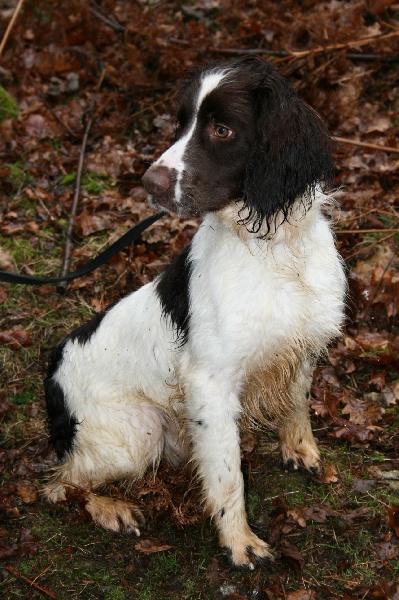 Publication : des Mille Epines Auteur : mille épines