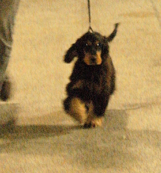 Publication : Du domaine de makno