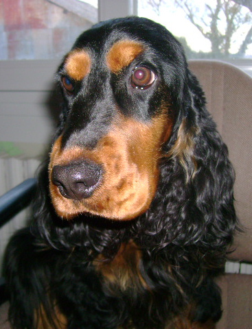 Publication : Du domaine de makno