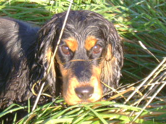 Publication : Du domaine de makno